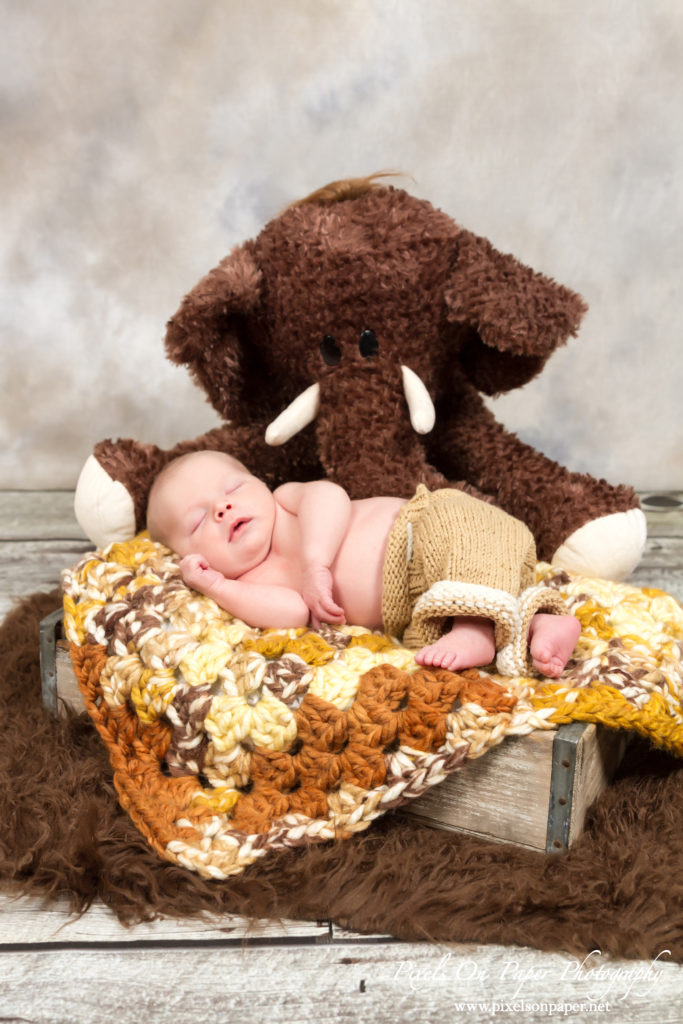 newborn baby boy Rylie wilkesboro nc portrait studio pixels on paper photographers photo