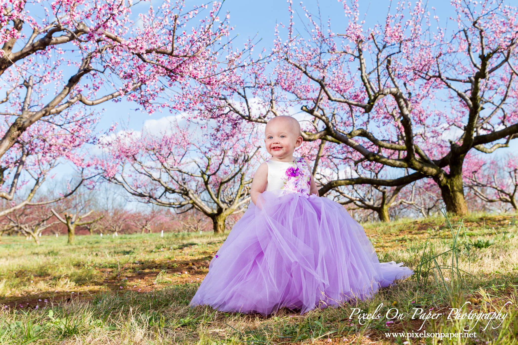 Pixels On Paper Photographers Driver family outdoor spring peach orchard wilkesboro nc portrait photo