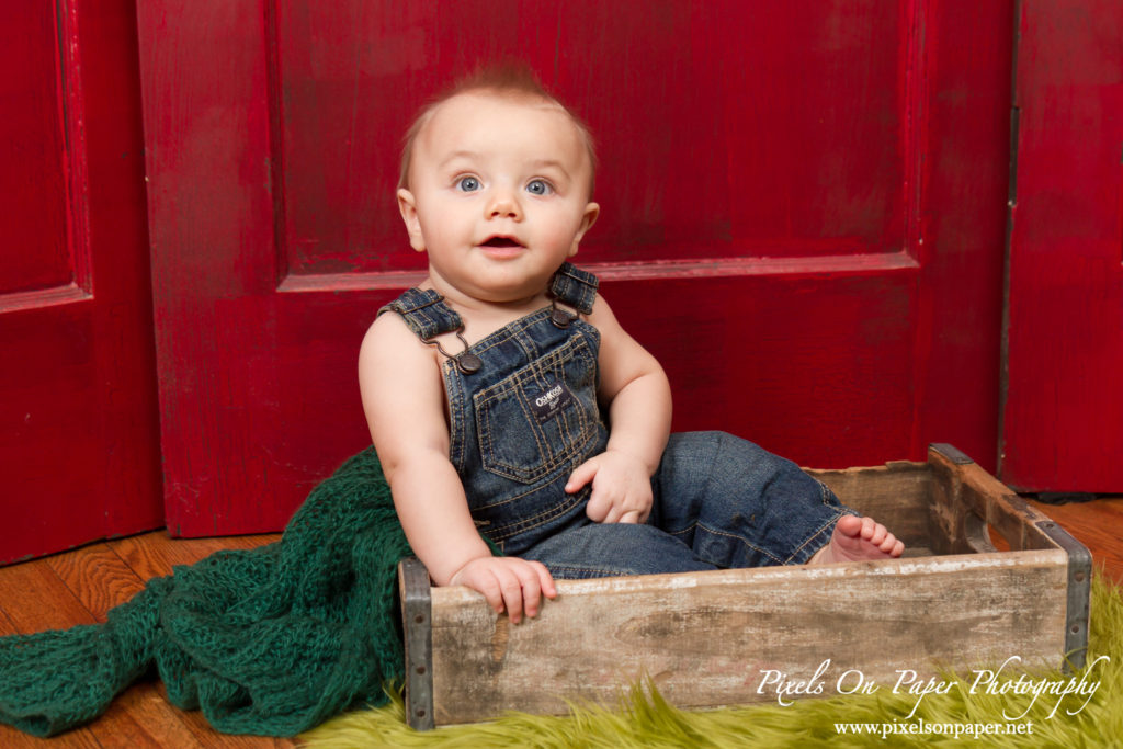 Pixels On Paper Photographers Becerra baby photography six month portraits Wilkesboro NC photo